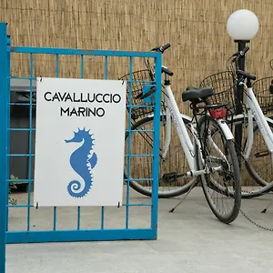 Cavalluccio Marino Appartamento